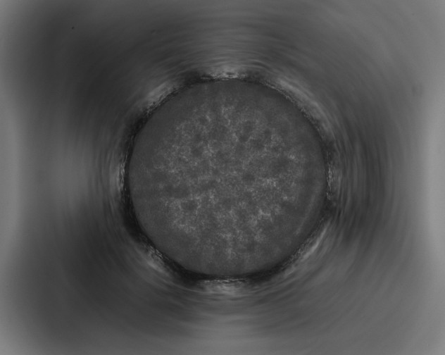 X0000087320652200705112138