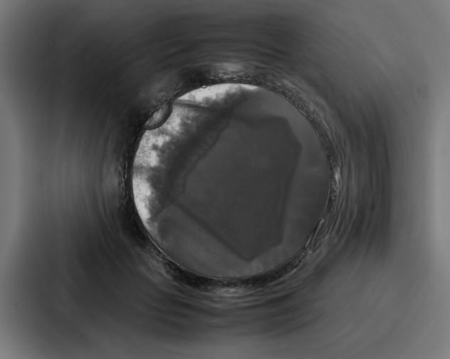 X0000087320653200705112138