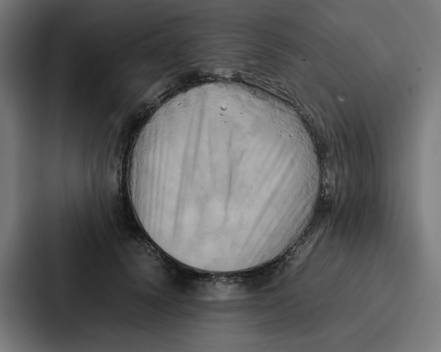 X0000087320656200705112138