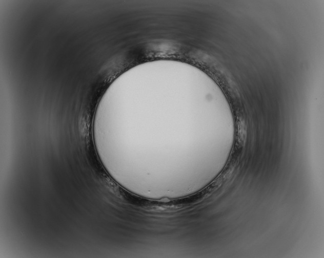 X0000087320657200705112138