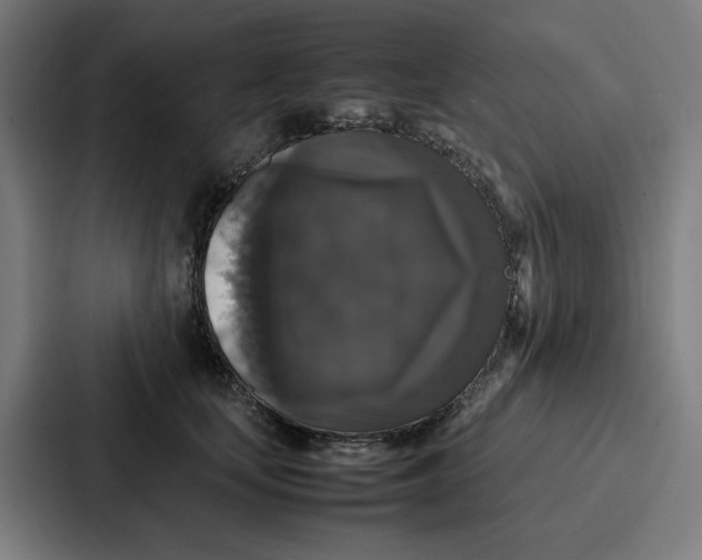 X0000087320659200705112138