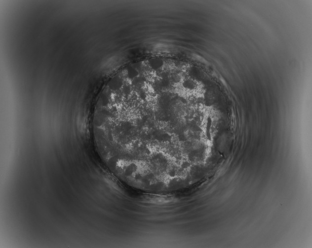 X0000087320663200705112138