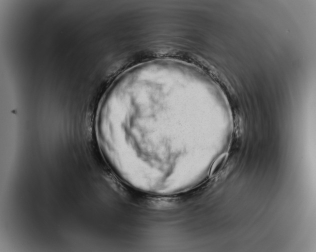 X0000087320664200705112138