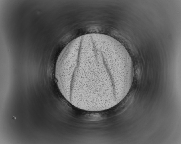 X0000087320665200705112138