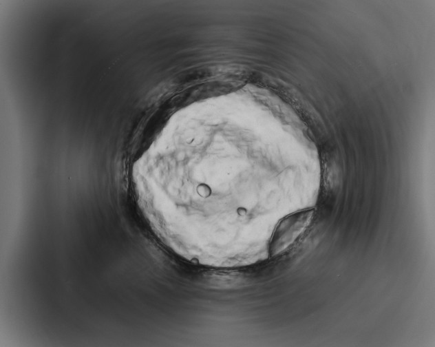 X0000087320666200705112138