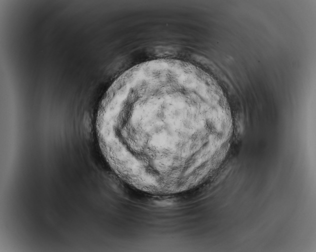 X0000087320667200705112138