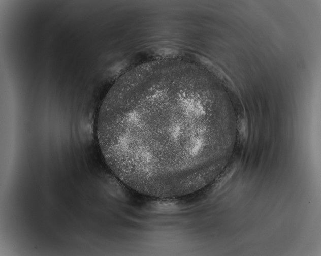 X0000087320668200705112138