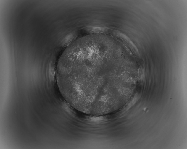 X0000087320669200705112138