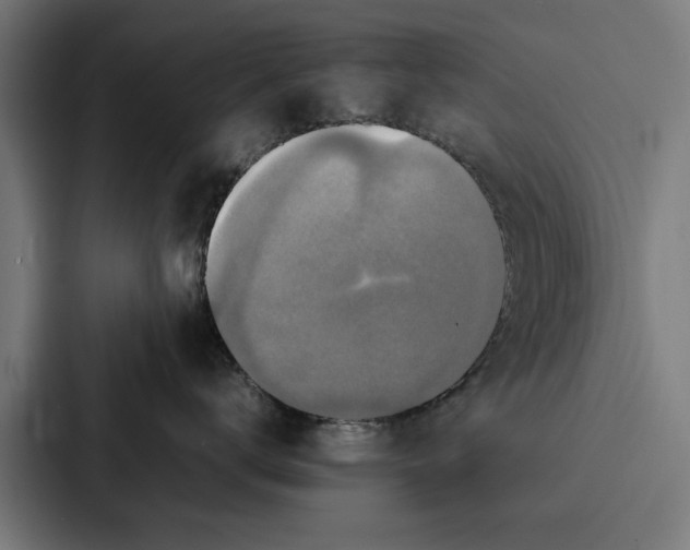 X0000087320672200705112138