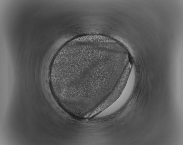 X0000087320673200705112137