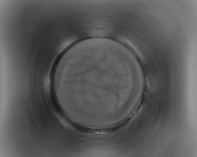 X0000087320674200705112137