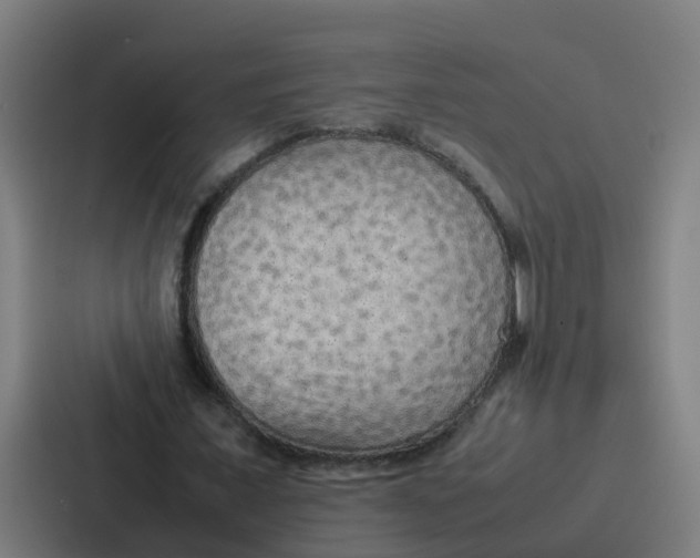 X0000087320675200705112137