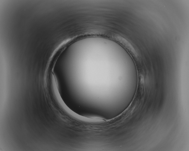 X0000087320676200705112137