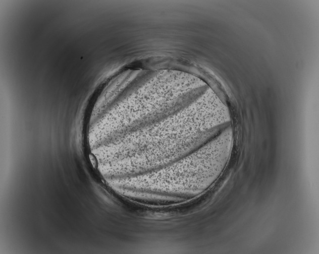 X0000087320677200705112137