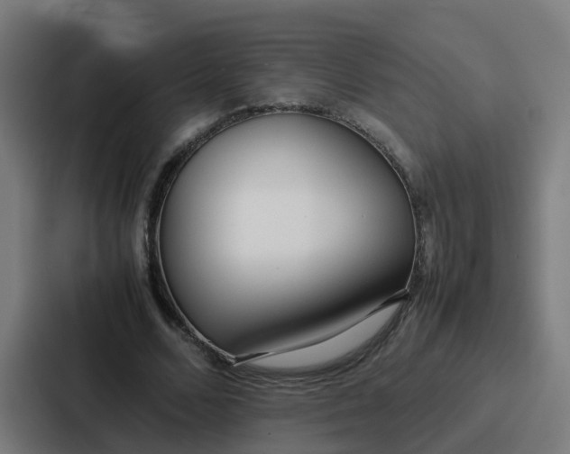 X0000087320680200705112137