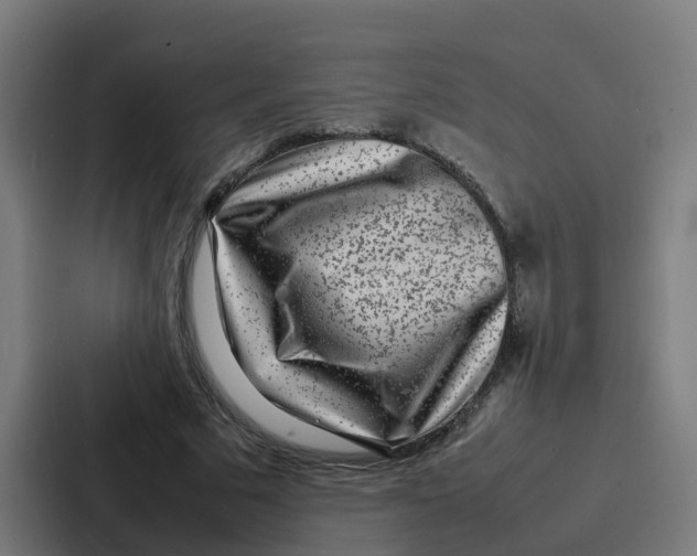 X0000087320681200705112137