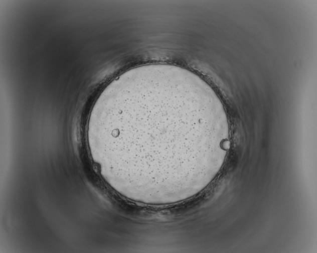 X0000087320683200705112137