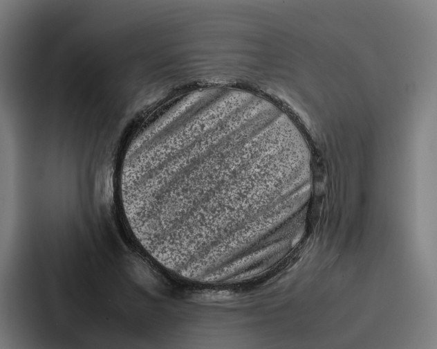 X0000087320685200705112137