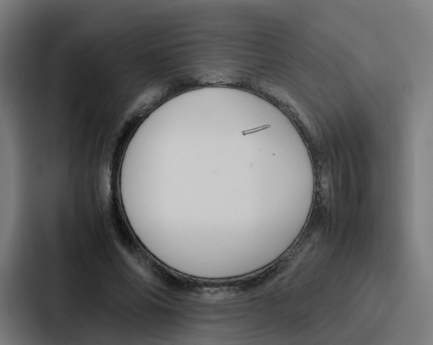 X0000087320686200705112137