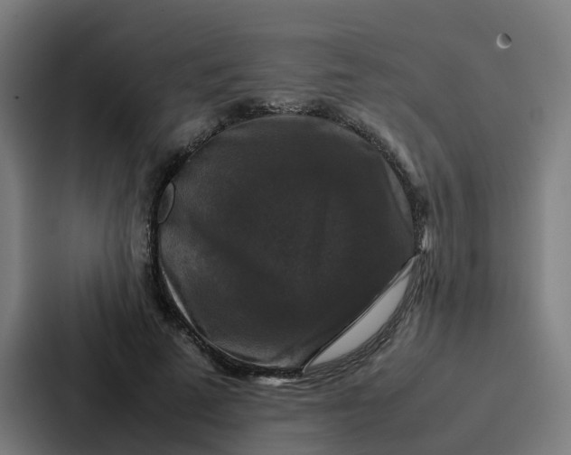 X0000087320689200705112137