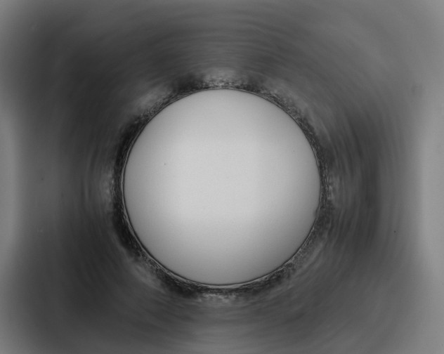 X0000087320690200705112137