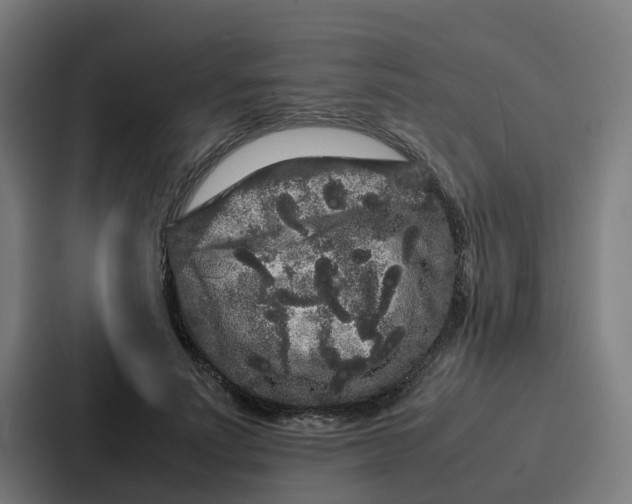 X0000087320691200705112137