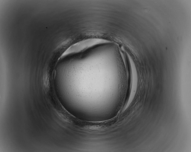 X0000087320692200705112137