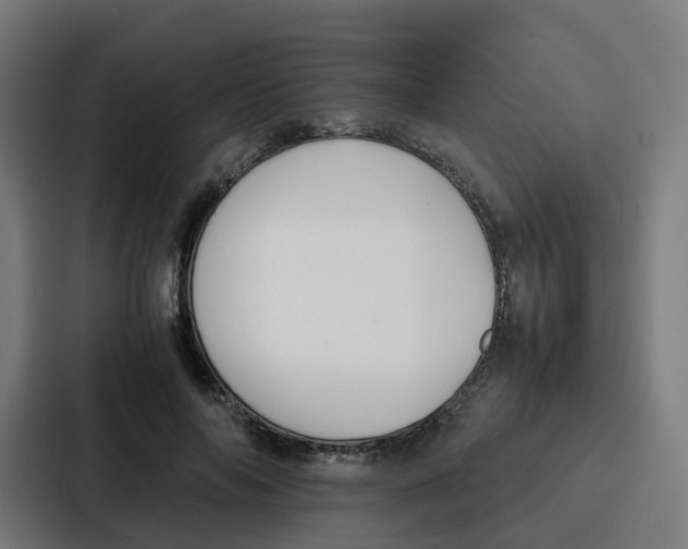 X0000087320694200705112137