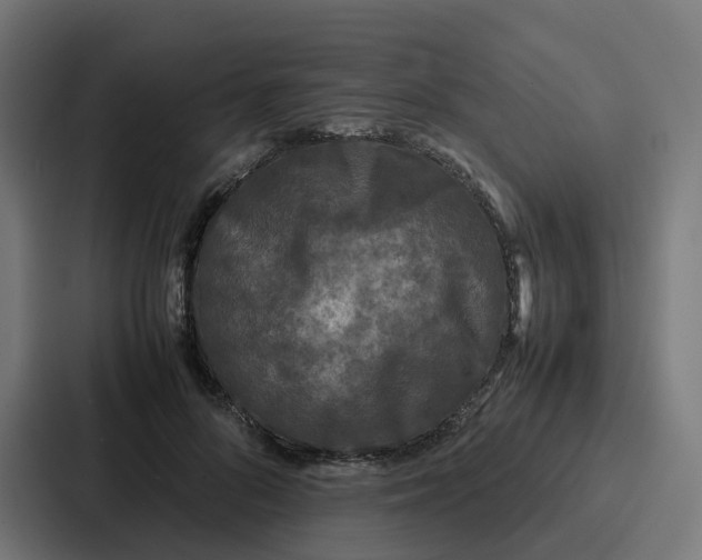 X0000087320696200705112137