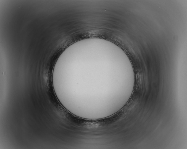 X0000087320698200705112137