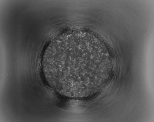 X0000087320699200705112137