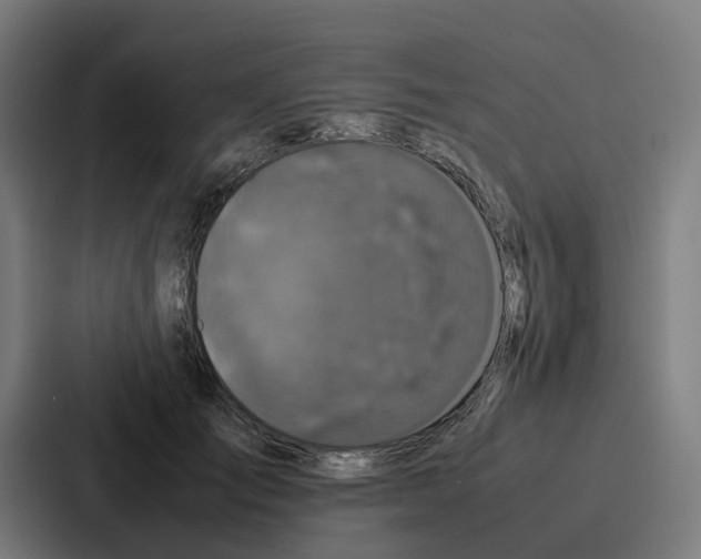 X0000087320701200705112137