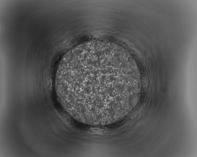 X0000087320703200705112137