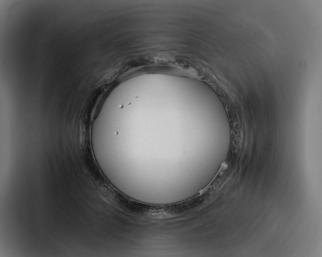 X0000087320704200705112137