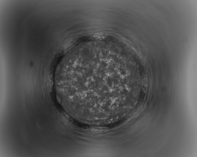 X0000087320707200705112137