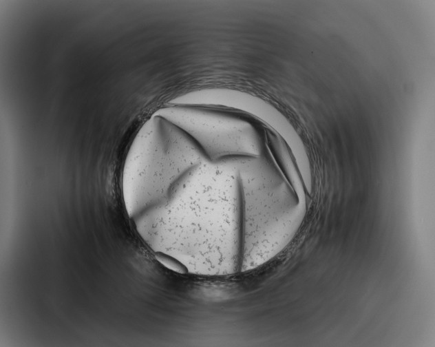 X0000087320708200705112137