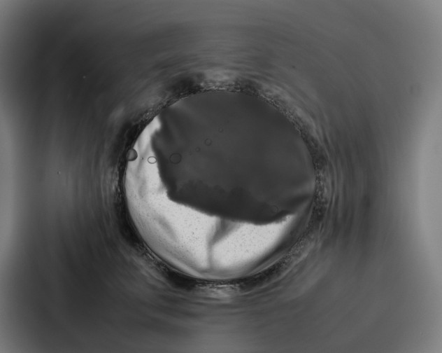 X0000087320711200705112137