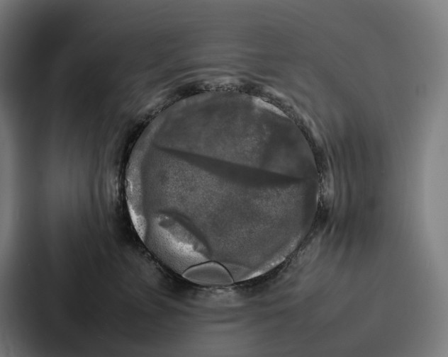 X0000087320715200705112137