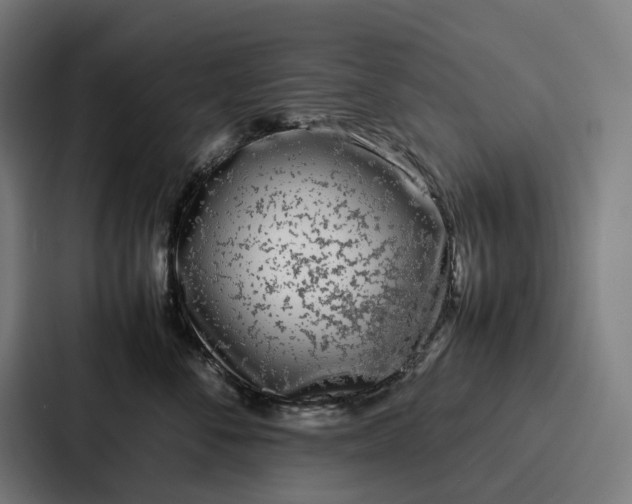 X0000087320716200705112137