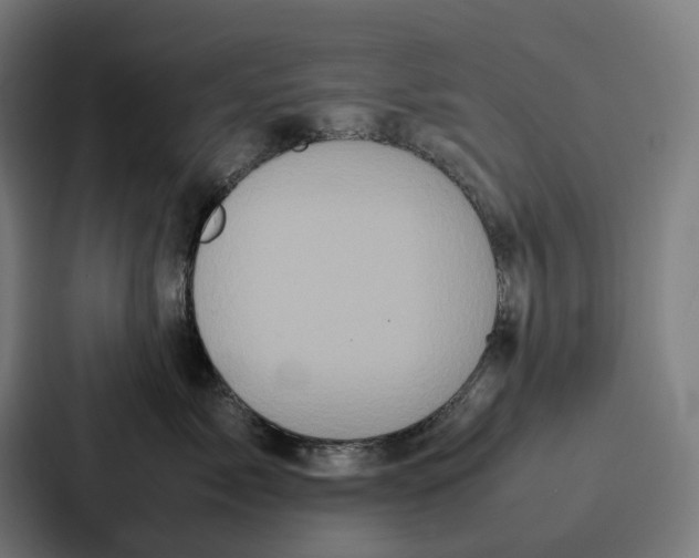 X0000087320717200705112137