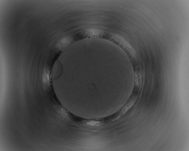 X0000087320718200705112137