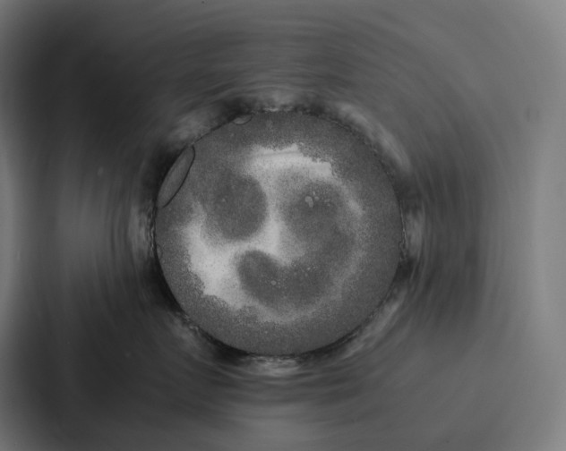 X0000087320719200705112137