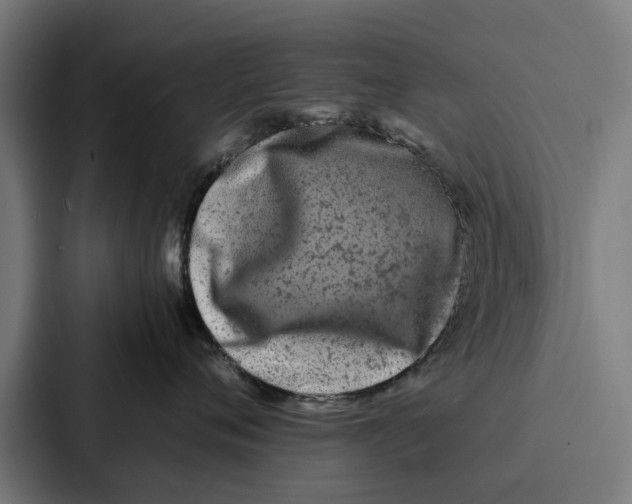 X0000087320720200705112137