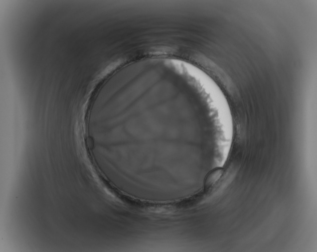 X0000087320721200705112136