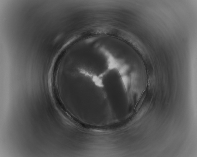 X0000087320722200705112136