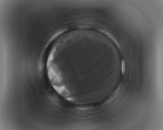 X0000087320723200705112136