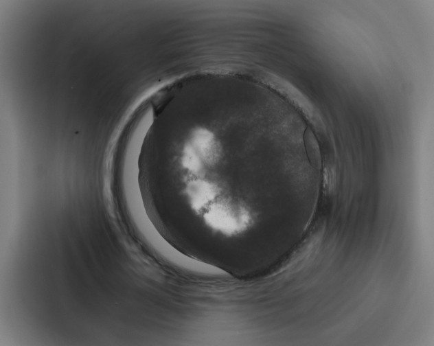 X0000087320724200705112136