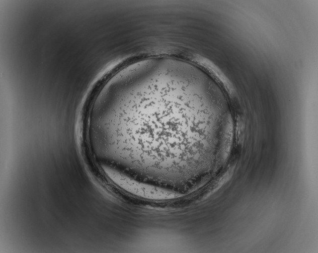 X0000087320726200705112136