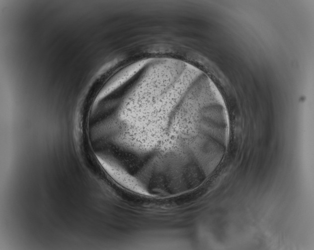 X0000087320727200705112136