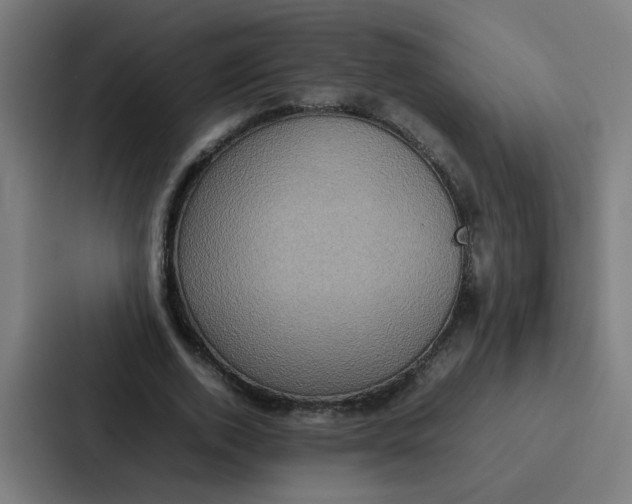 X0000087320728200705112136